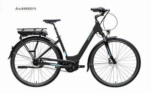 Elektromos kerékpár Gepida Reptila 10000